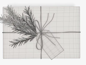 Christmas gift wrapped 05 3D Model