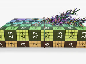Christmas gift wrapped 05 3D Model