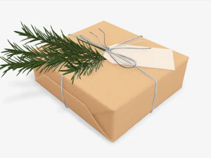 Christmas gift wrapped 06 3D Model