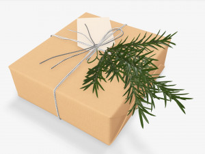 Christmas gift wrapped 06 3D Model