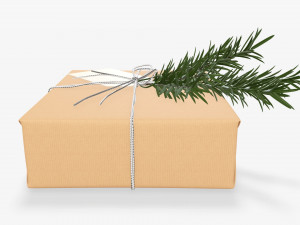 Christmas gift wrapped 06 3D Model