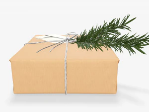 Christmas gift wrapped 06 3D Model