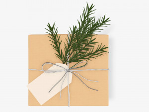 Christmas gift wrapped 06 3D Model