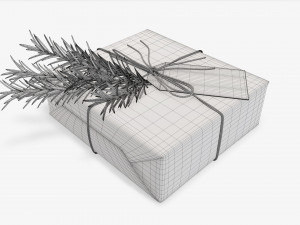 Christmas gift wrapped 06 3D Model