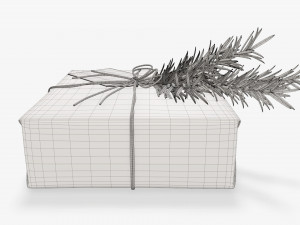 Christmas gift wrapped 06 3D Model