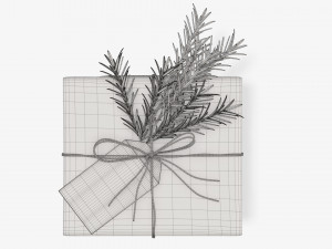 Christmas gift wrapped 06 3D Model