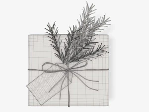 Christmas gift wrapped 06 3D Model