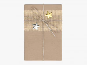 Christmas gift wrapped 07 3D Model