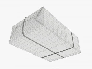 Christmas gift wrapped 07 3D Model