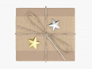 Christmas gift wrapped 08 3D Model