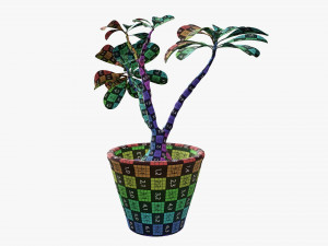 Desert rose or ping bignonia in flowerpot Modelo 3D