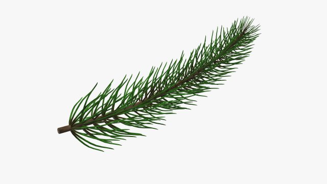 Fir tree branch 01 Modèle 3D .c4d .max .obj .3ds .fbx .stl .blend 