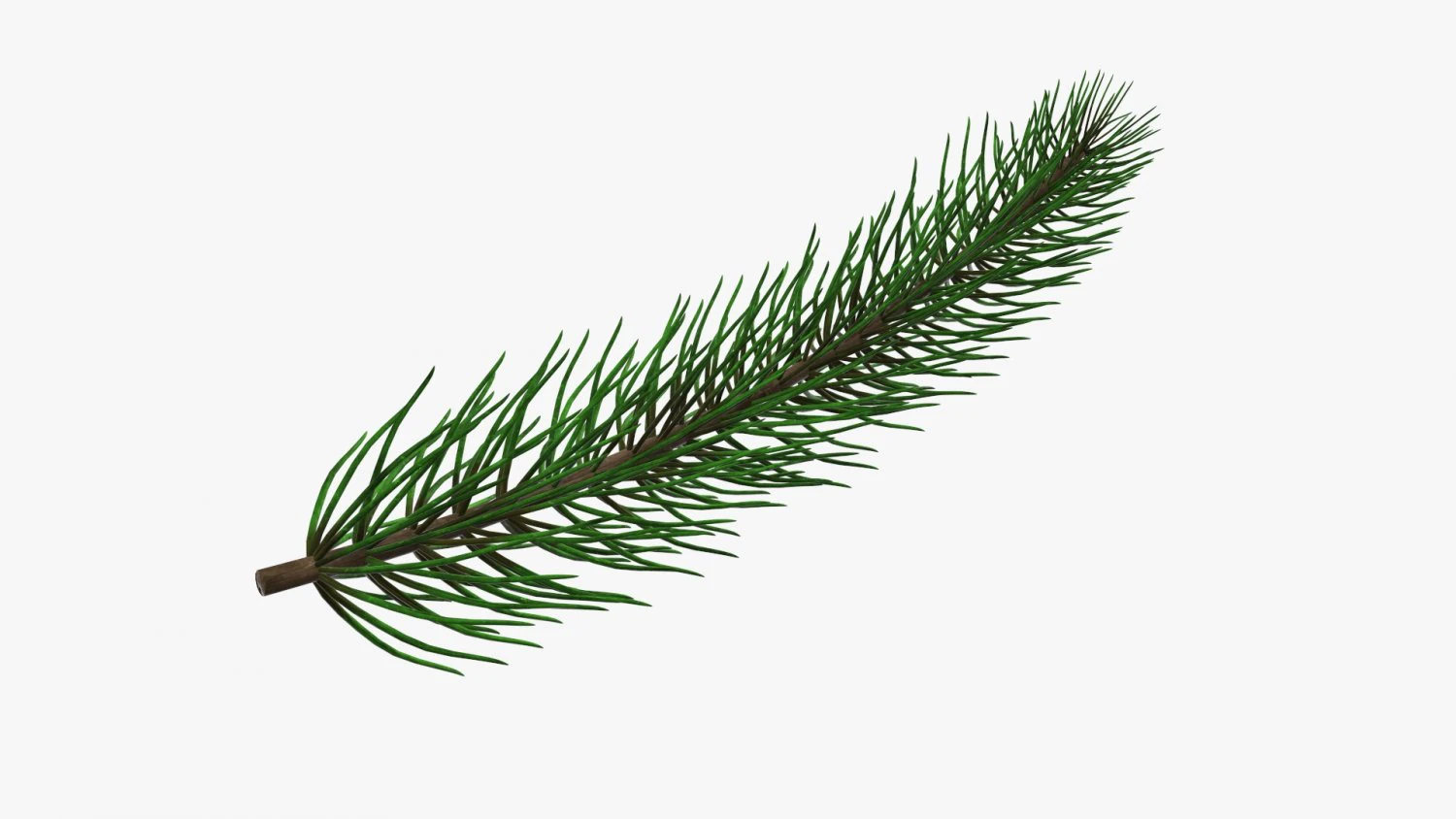 Fir tree branch 01 3D Model .c4d .max .obj .3ds .fbx .stl .blend 