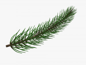 Fir tree branch 01 3D Model