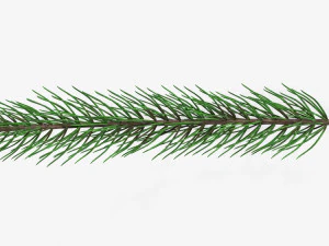 Fir tree branch 01 3D Model