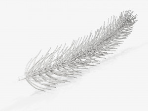 Fir tree branch 01 Modèle 3D