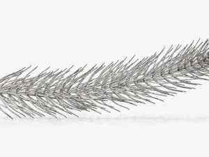 Fir tree branch 01 3D Model