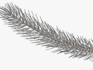 Fir tree branch 01 Modèle 3D