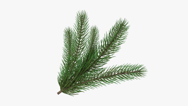 Fir tree branch 02 Modello 3D .c4d .max .obj .3ds .fbx .stl .blend 