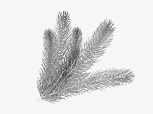 Fir tree branch 02 Modello 3D