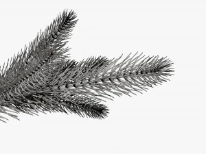 Fir tree branch 02 3D Model