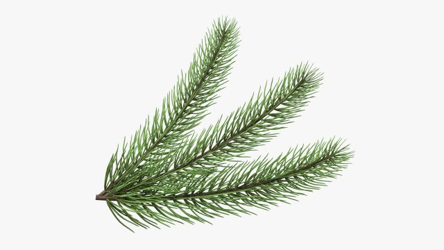 Fir tree branch 03 3D Model .c4d .max .obj .3ds .fbx .stl .blend 