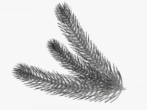 Fir tree branch 03 3D Model