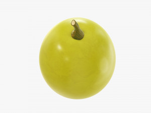 Grape 3D Model