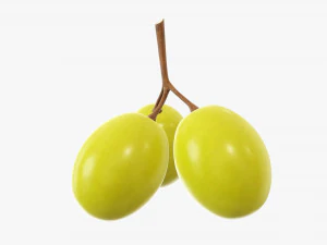 Grapes 01 3D Model