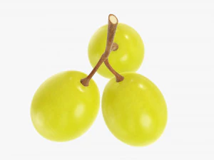 Grapes 01 3D Model