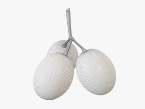 Grapes 01 3D Model