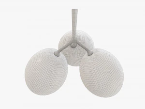 Grapes 01 3D Model