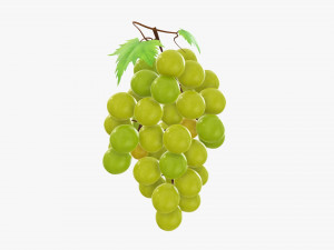 Grapes 02 3D Model