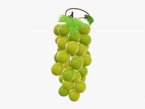 Grapes 02 3D Model