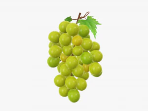 Grapes 02 3D Model