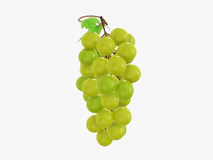 Grapes 02 3D Model