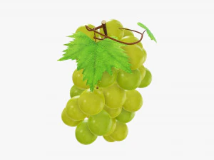 Grapes 02 3D Model