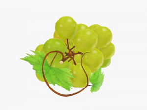 Grapes 02 3D Model