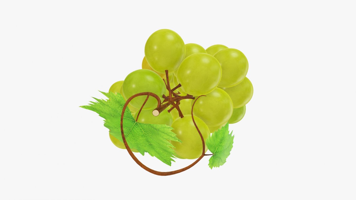 Ягода кишмиш дальневосточный. Виноград 2 3. Виноград сверхранний рубцовой. Виноградники лоза. Виноград 2 3.