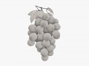Grapes 02 3D Model