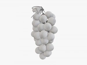 Grapes 02 3D Model