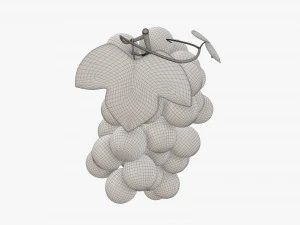 Grapes 02 3D Model