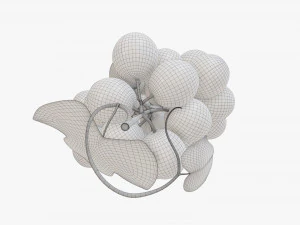 Grapes 02 3D Model