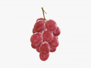 Grapes 03 3D Model