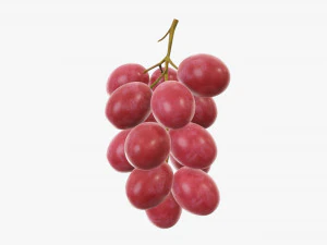 Grapes 03 3D Model