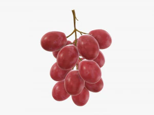 Grapes 03 3D Model