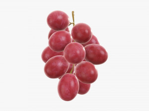 Grapes 03 Modèle 3D