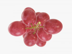 Grapes 03 3D Model