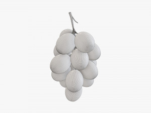 Grapes 03 Modèle 3D