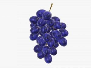 Grapes 04 3Dモデル